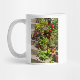 Steps with flower pots Mug